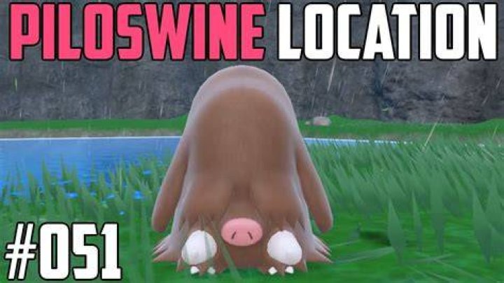 Where-to-Catch-Piloswine-Scarlet-Violet-Teal-Mask-1