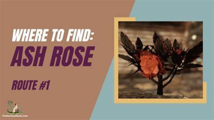 where to find ash rose locations fallout 76