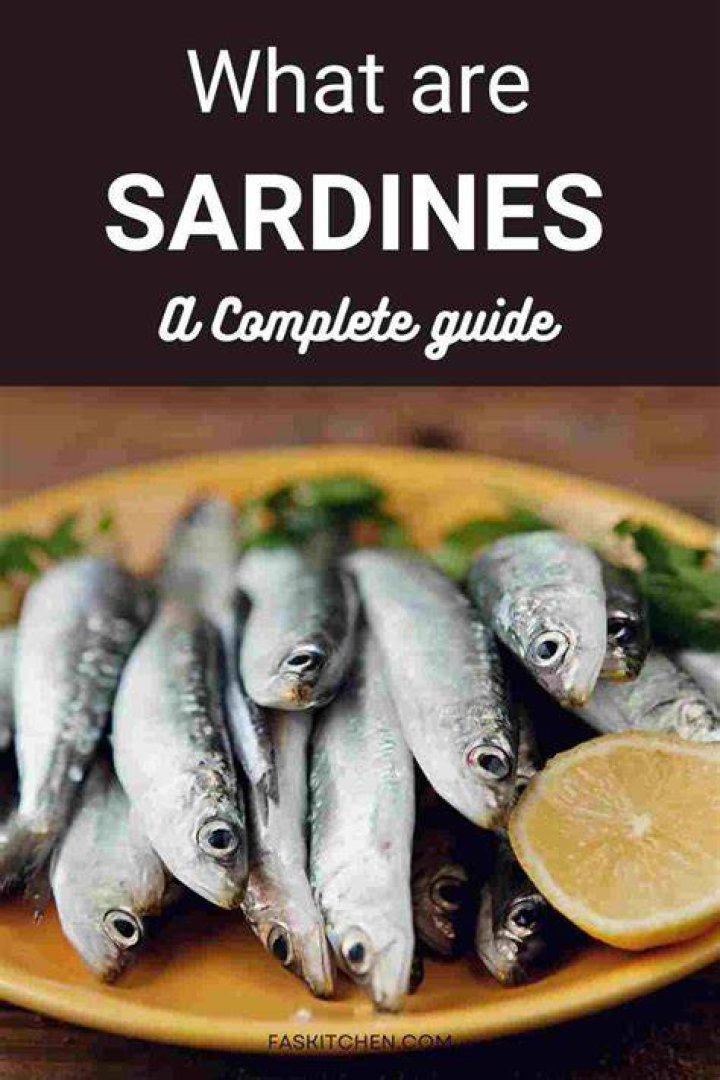 Where to find sardines in Nier Replicant version 1.22