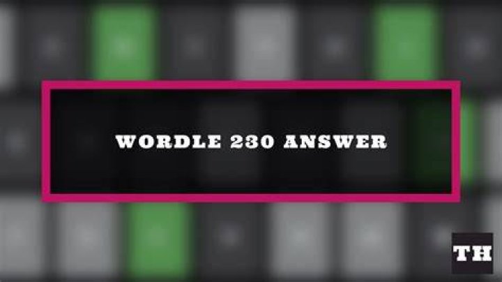 Wordle Answer 230